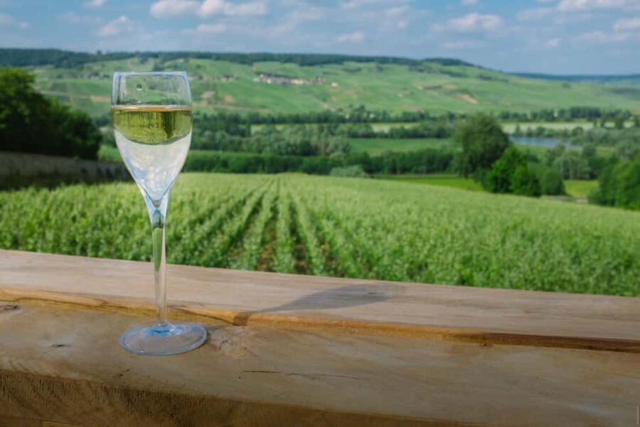 From Paris: Champagne Day Trip with 7 Tastings and Lunch - Walking, weather, and practical limits