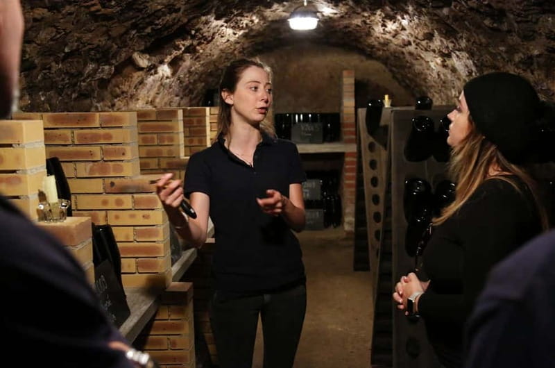 From Paris: Champagne Day Trip with 7 Tastings and Lunch - The first cellar visit and a lesson in production