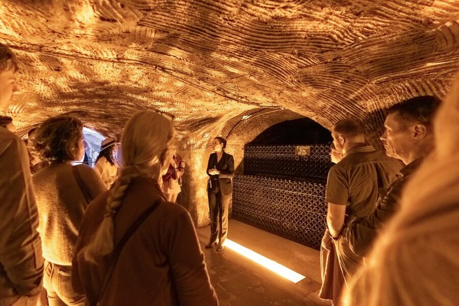 From Paris: Day Trip to Champagne with 8 Tastings & Lunch - Comparing family estates and cooperatives