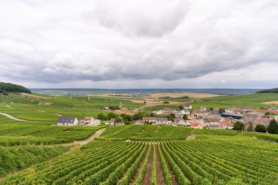 From Paris: Day Trip to Champagne with 8 Tastings & Lunch - The return to Paris
