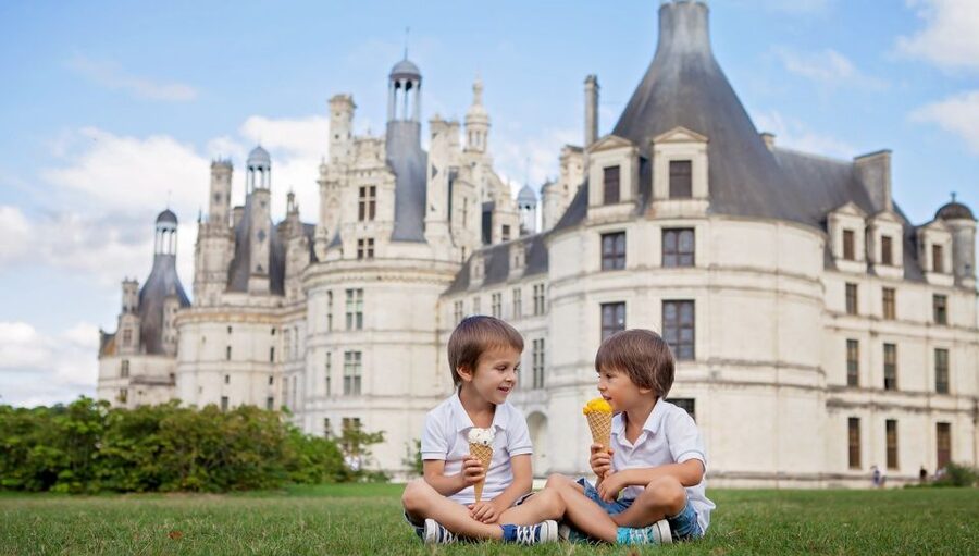 From Paris: Loire Valley Castles Tour with Hotel Transfers - Who should book this tour?