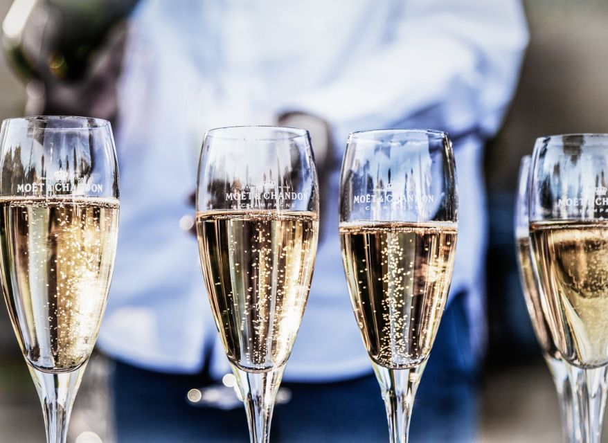 From Paris: Reims and Champagne Tasting Full-Day Tour - Meeting a small Champagne producer