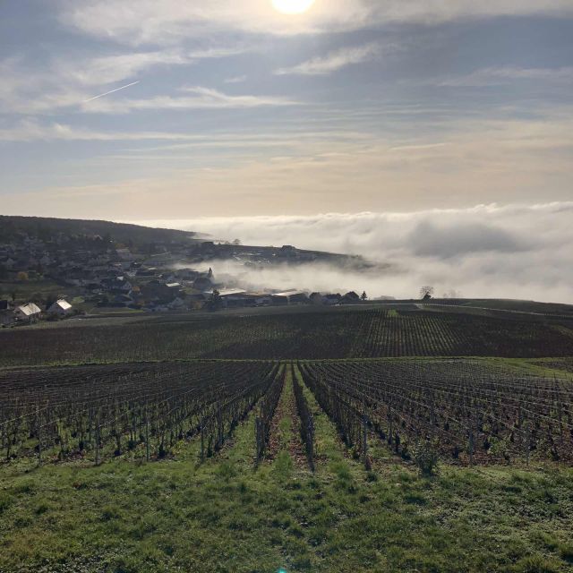 From Paris: Reims and Champagne Tasting Full-Day Tour - Blind tasting among the Marne vineyards