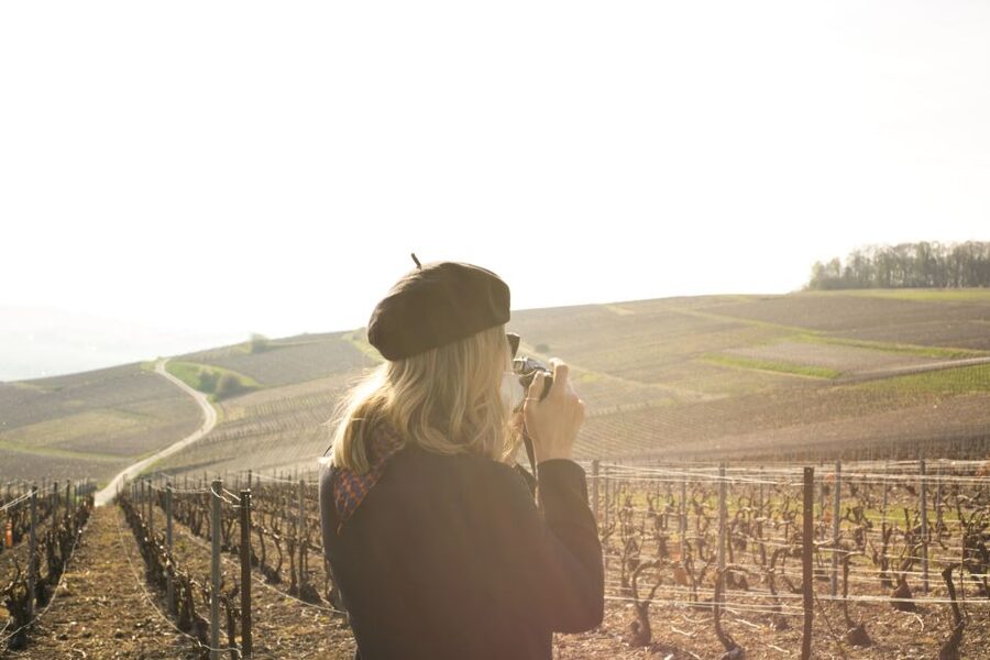 From Paris: Reims and Champagne Tasting Full-Day Tour - Reims Cathedral and the royal past