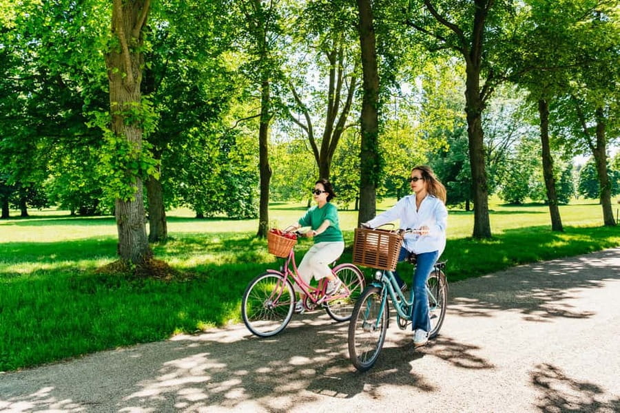 From Paris: Skip-the-Line Palace of Versailles Bike Tour - Meeting at Montparnasse and Taking the Train