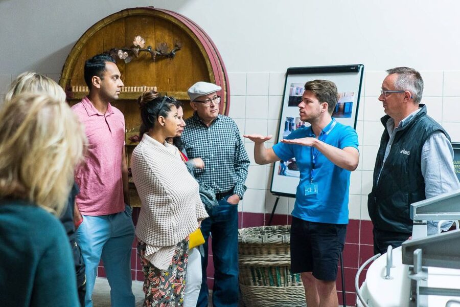 From Paris: Small-Group Champagne Day Trip with Six Tastings - Why this Champagne day trip works