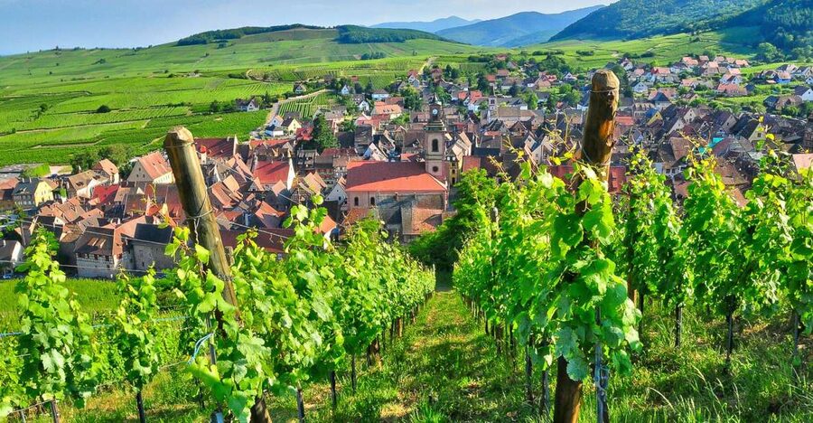 From Paris: Small-Group Champagne Day Trip with Six Tastings - Reims Cathedral and the French coronation story