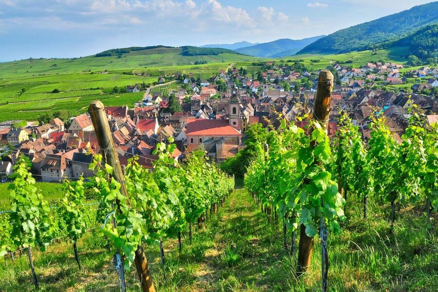 From Paris: Small-Group Champagne Day Trip with Six Tastings - The family winery: personal scale and local character