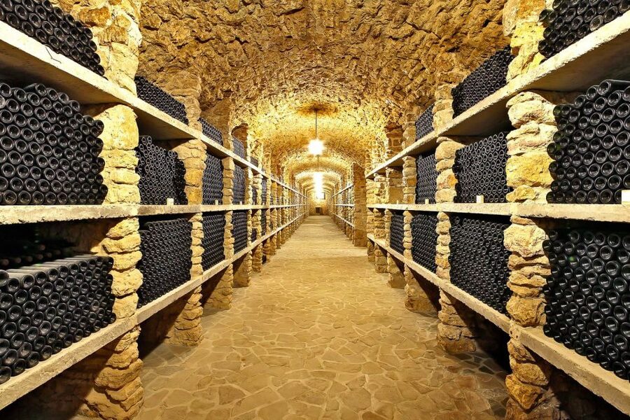 From Paris: Small-Group Champagne Day Trip with Six Tastings - What the 11-hour schedule feels like
