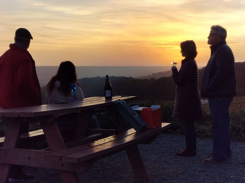 From Paris: Small-Group Champagne Tour with 3-Course Lunch - Should you book it?