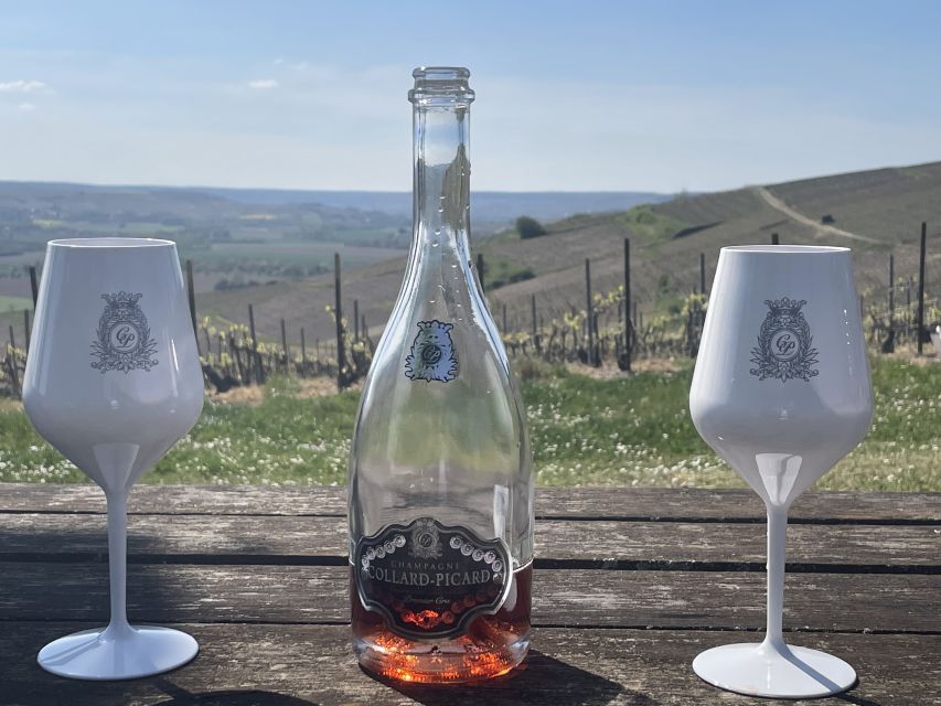 From Paris: Small-Group Champagne Tour with 3-Course Lunch - Vineyard views, Marne Valley stops, and the blind tasting