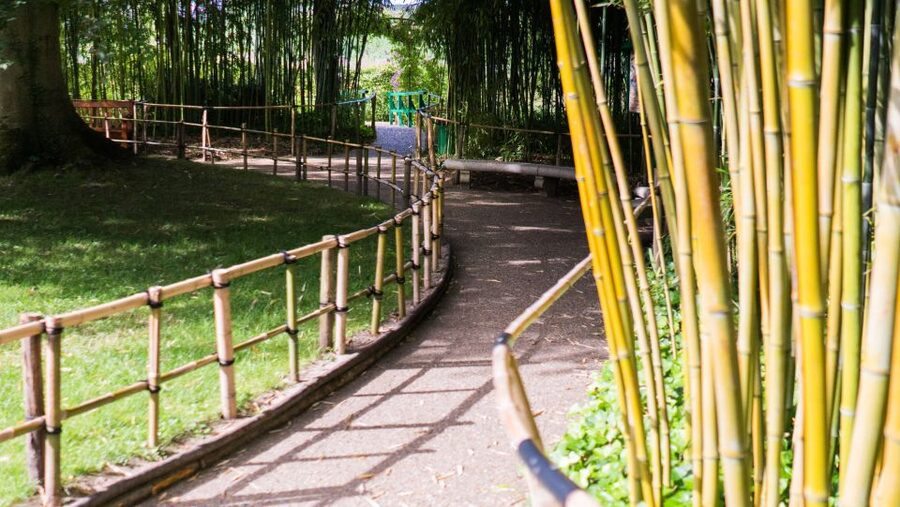 From Paris: Versailles and Giverny Full-Day Trip - Who should book this excursion?