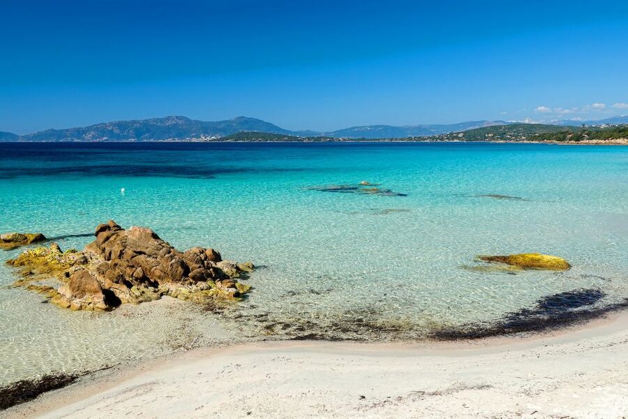 From Porticcio: Speedboat Tour to Cupabia Beach with Stops - The skippers and the feel of the service