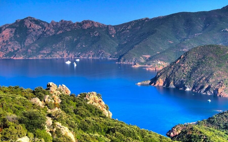 From Porto: Piana Creeks and Scandola Semi-Rigid Boat Tour - Setting out from Porto’s Gulf