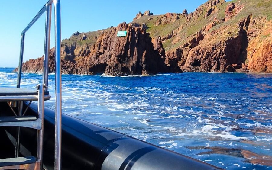 From Porto: Piana Creeks and Scandola Semi-Rigid Boat Tour - Swimming, snorkeling, and possible sea life