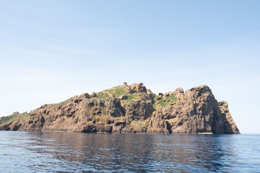From Porto: Piana Creeks and Scandola Semi-Rigid Boat Tour - Who should book this boat trip?