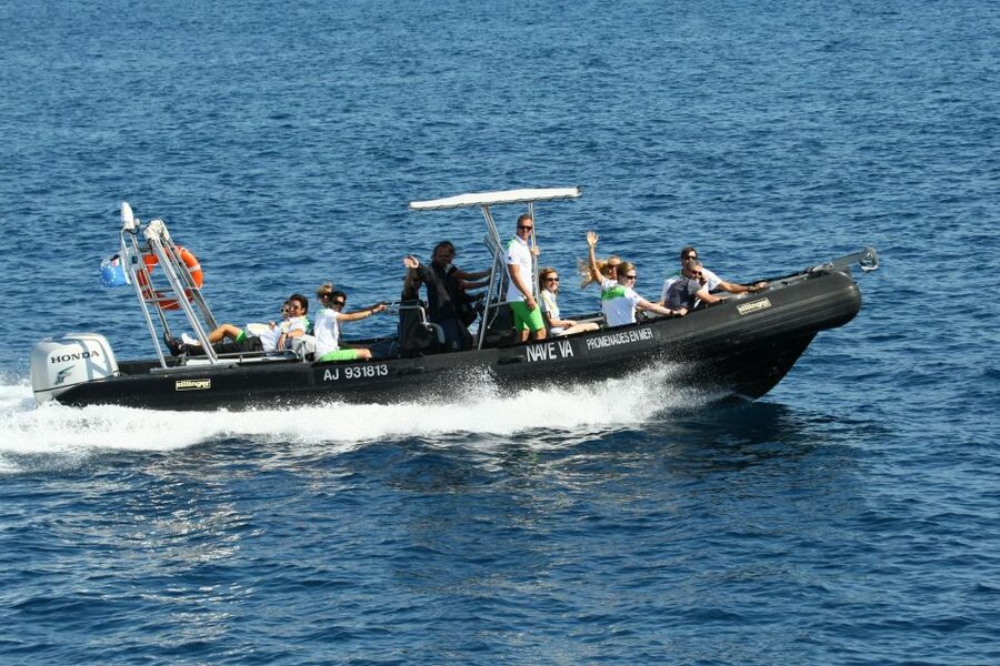 From Porto: Scandola and Calanche de Piana Boat Tour - Why Scandola makes this Porto boat trip special