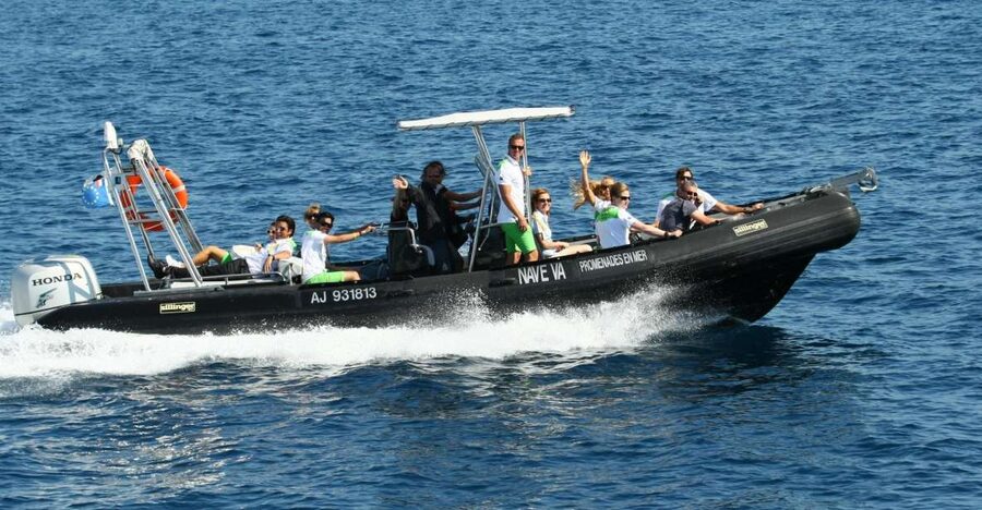 From Porto: Scandola and Calanche de Piana Boat Tour - Scandola’s cliffs, birds, and sea life
