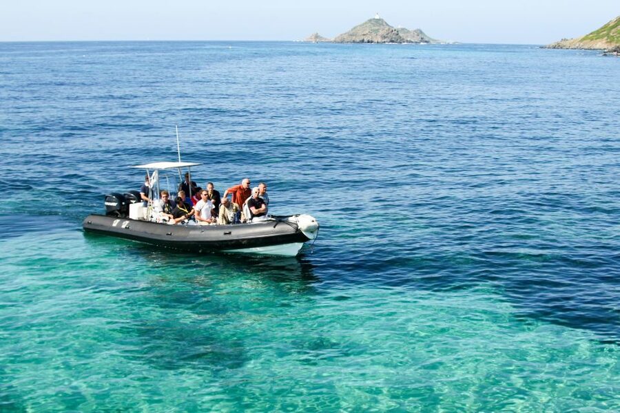 From Porto: Scandola and Calanche de Piana Boat Tour - Timing, comfort, and who should book