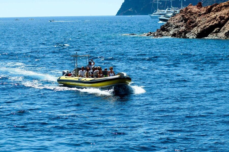 From Porto: Scandola and Calanche de Piana Boat Tour - Should you book the Scandola and Piana boat tour?