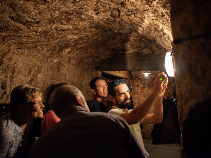 From Reims: Champagne and Family-Run Wineries Tour - Who should book this Champagne tour