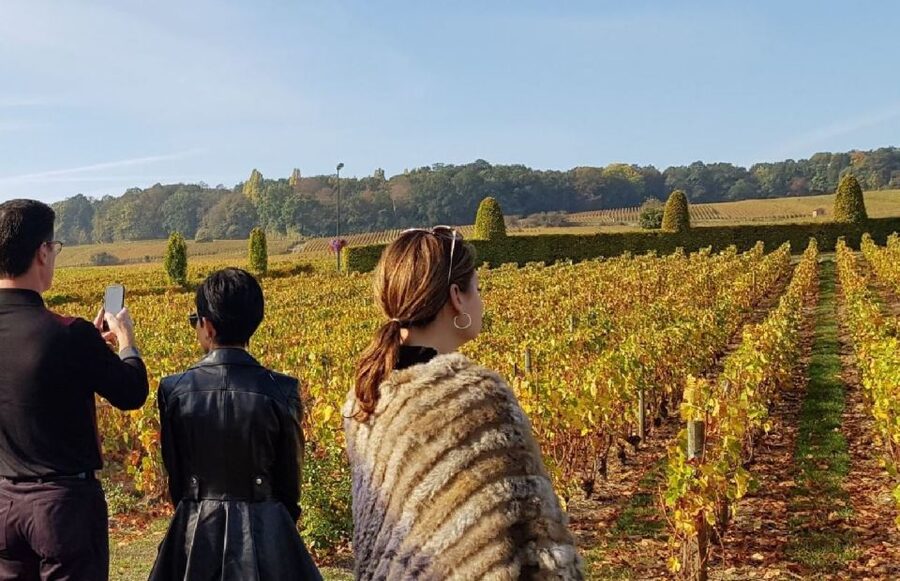 From Reims: Champagne Day Trip to 3 Family Domains & Lunch - Lunch at a Local Restaurant