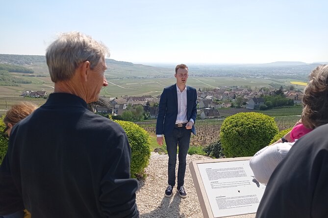 From Reims Champagne Day Trip Veuve Clicquot Local Domain & Lunch - What this Reims Champagne day actually delivers