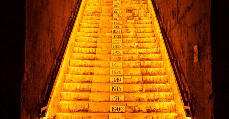 From Reims: Day Trip to Veuve Clicquot Family Grower & Lunch - Reims, the city of kings and Champagne