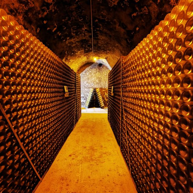 From Reims: Day Trip to Veuve Clicquot Family Grower & Lunch - Veuve Clicquot: the grand Champagne introduction