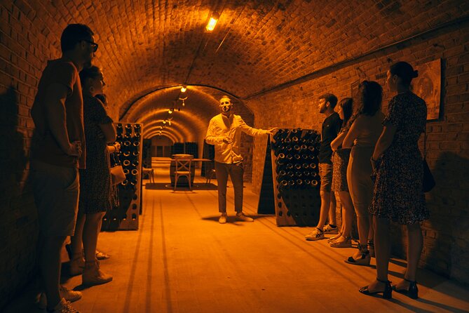 From Reims morning Champagne family growers - What this tour does not cover