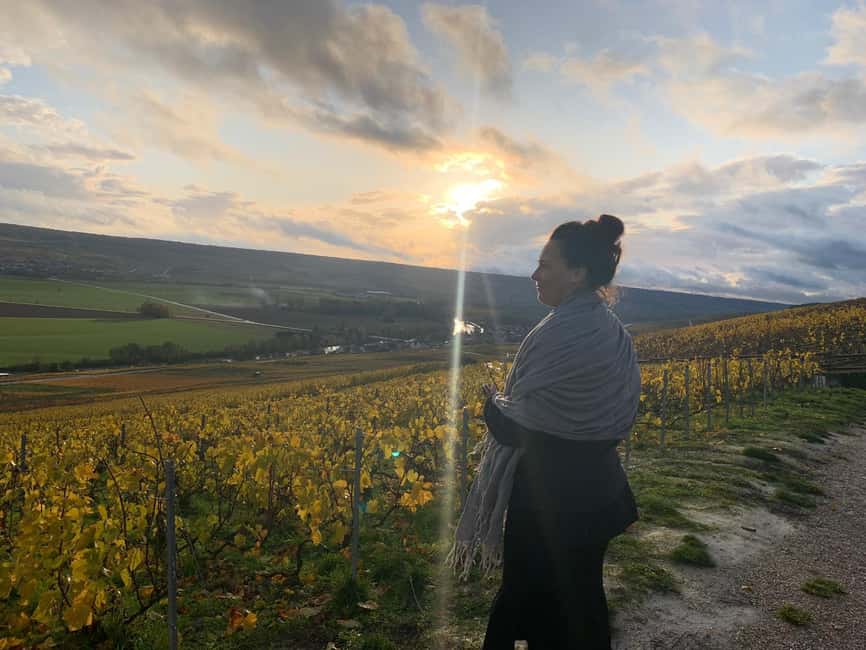 From Reims: Morning Champagne Tour and Tastings - Why the small houses make this tour worthwhile