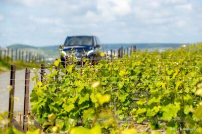 Morning Champagne Tour and Tastings
