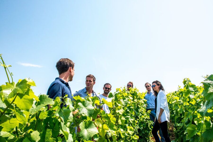 From Reims: Morning Champagne Tour and Tastings - The second winery: a shorter visit with a different character