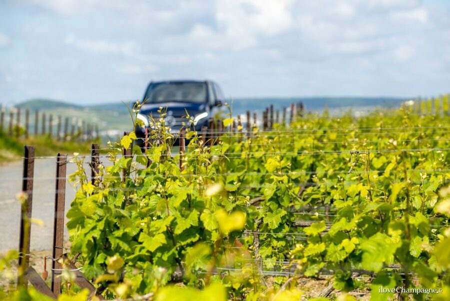 From Reims: Morning Champagne Tour and Tastings - Meeting at Reims Centre at 9:20 AM