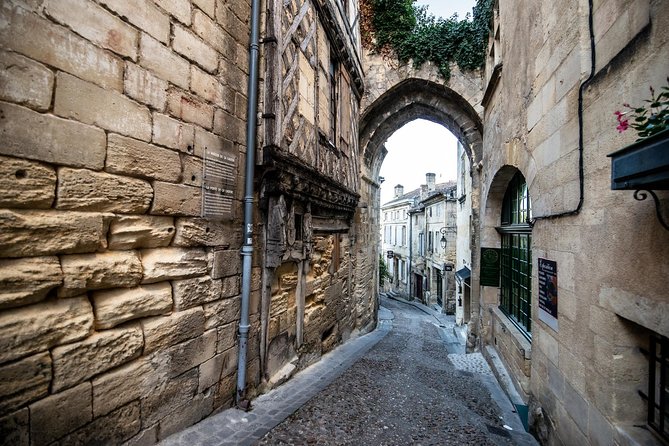 From Saint-Emilion : Electric Bike Day Tour with Wine Tastings and Picnic Lunch - The 4 pm village tasting