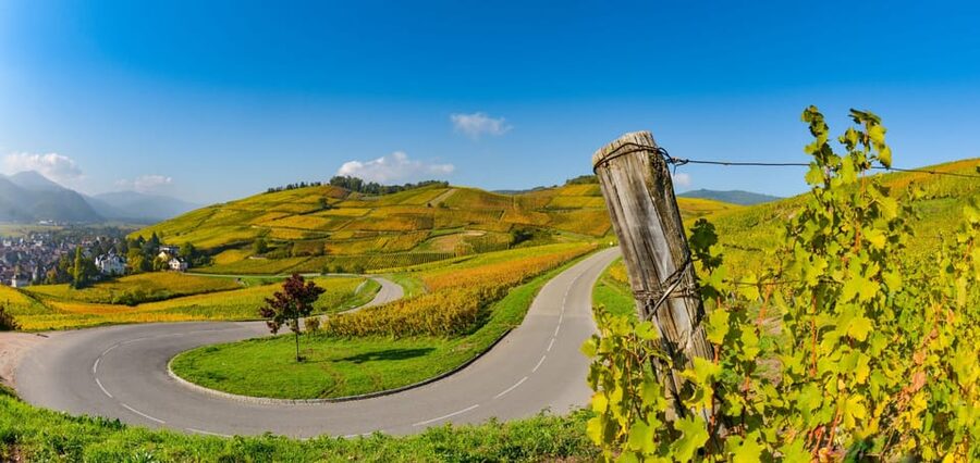 From Strasbourg: Half-Day Tour of Alsace Villages - Key points to know before booking