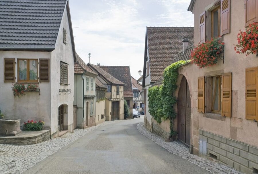 From Strasbourg: Half-Day Tour of Alsace Villages - Should you book it?