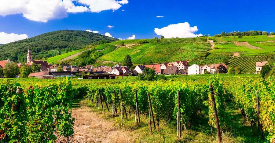 From Strasbourg: Half-Day Tour of Alsace Villages - Mittelbergheim: a short walk through a wine village