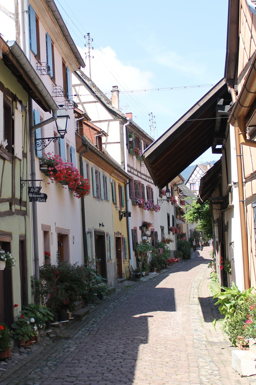 From Strasbourg: Half-Day Tour of Alsace Villages - Andlau and the Romanesque church