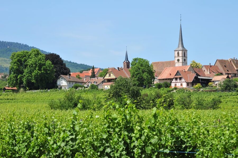 From Strasbourg: Half-Day Tour of Alsace Villages - Timing, comfort, and practical limits