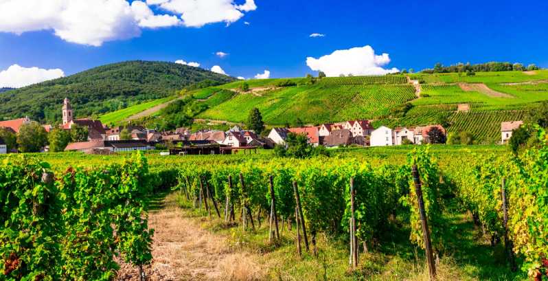 From Strasbourg: Half-Day Tour of Alsace Villages - Barr: vineyards, wine grapes, and an 18th-century house