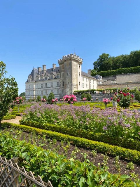 From Tours: Afternoon Loire Valley Wine Tour - Amboise: more styles, less time