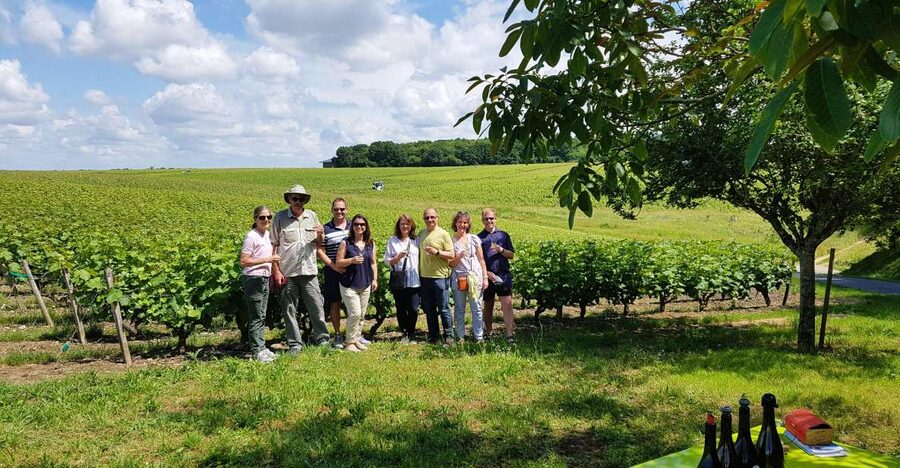 From Tours: Afternoon Loire Valley Wine Tour - Should you book it?
