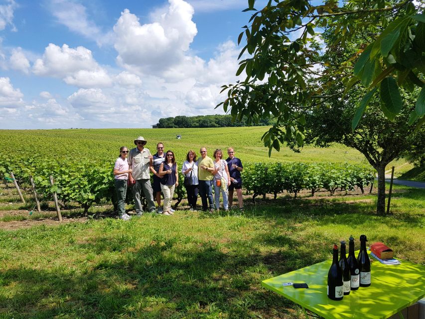 From Tours: Afternoon Loire Valley Wine Tour - Vouvray: the afternoon’s most useful wine lesson
