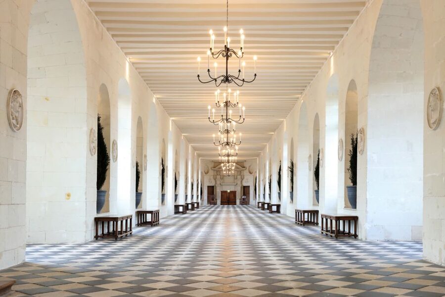 From Tours: Chenonceau and Chambord Castles Guided Tour - Timing, comfort, and who should book