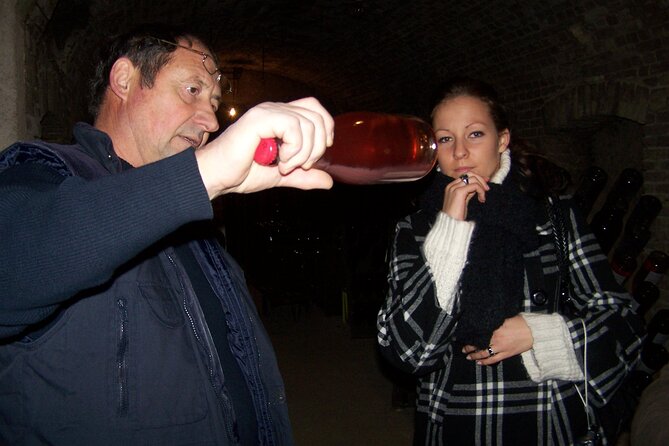 Full Day All-inclusive Tour in Champagne from Paris in a Minivan - What the $284.20 price really covers