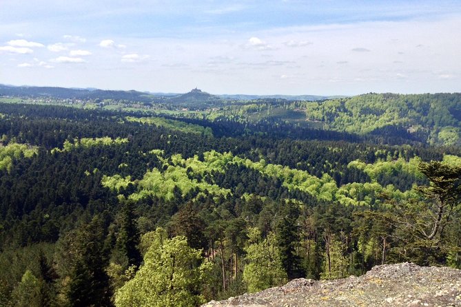 FULL DAY ALSACE PRIVATE TOUR : Tailored by your Friendly Driver - Wine, pretzels, and small surprises