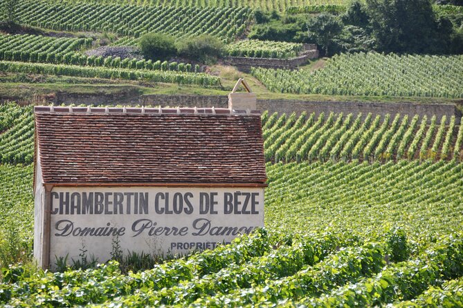 Full-Day Private Tour, 6 Premiers & Grands Crus, The Best of Burgundy - Cellars, aging, and the difference between bottle levels