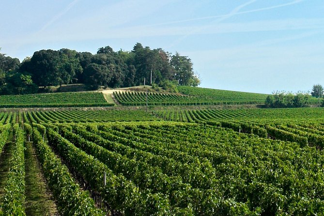 Full-day Saint-Emilion: Village, Undergrounds and Châteaux - Transport, timing, and meeting point