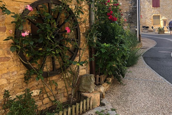 Golden stones Beaujolais Wine Tour with Tastings from Lyon - Why this four-hour trip works from Lyon